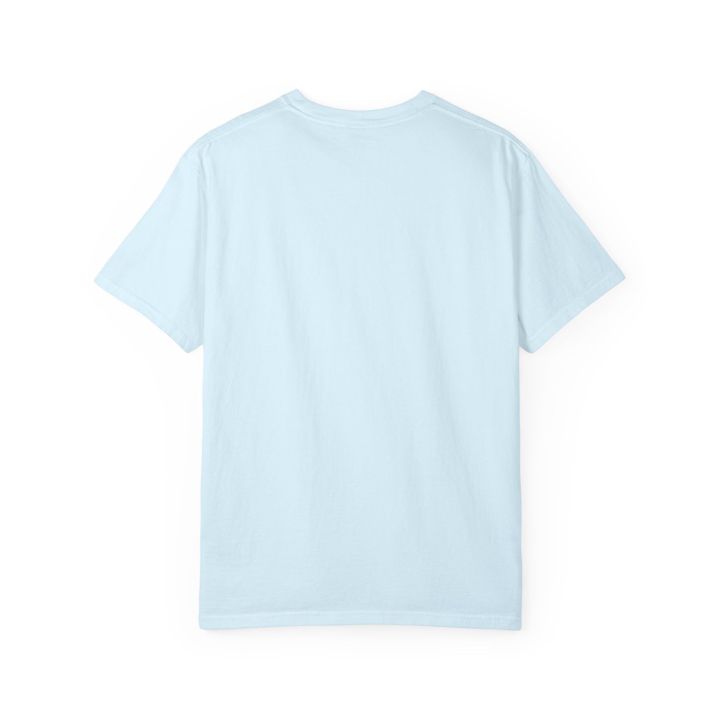 datapal t-shirt blue logo