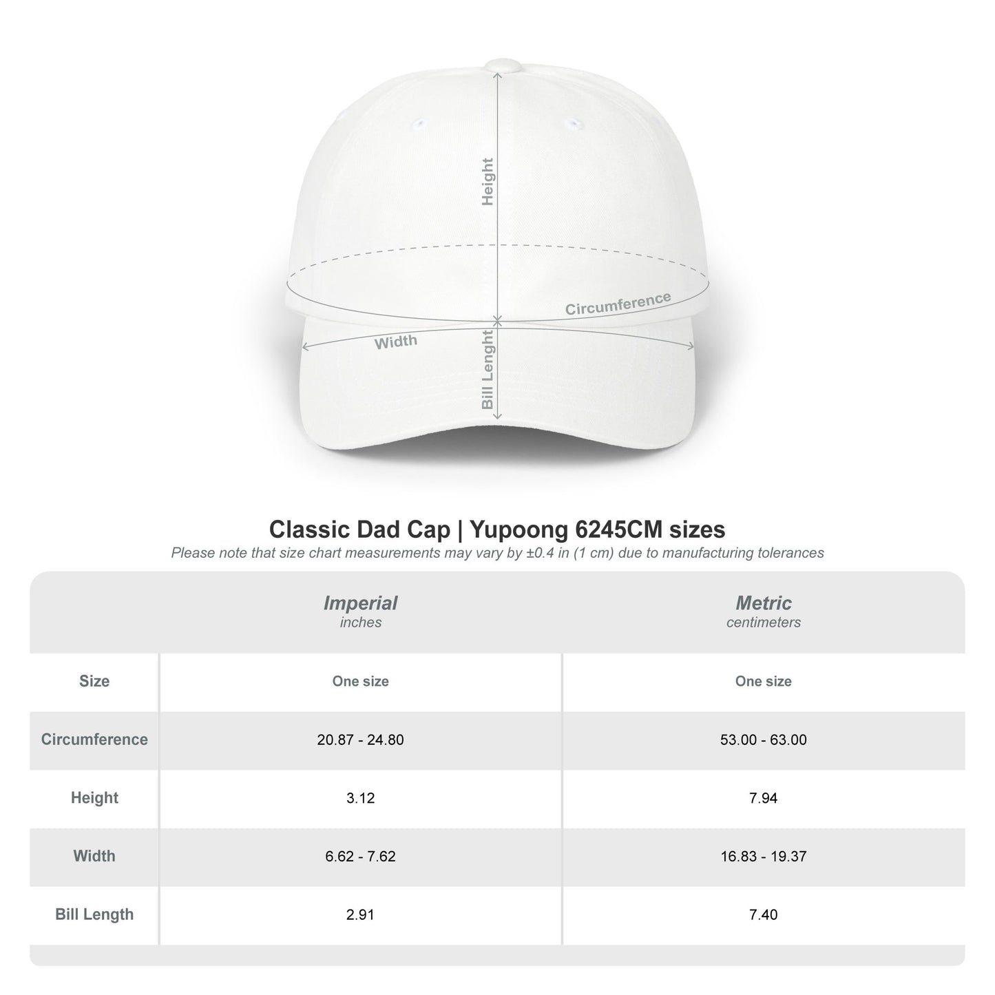 Datapal baseball cap