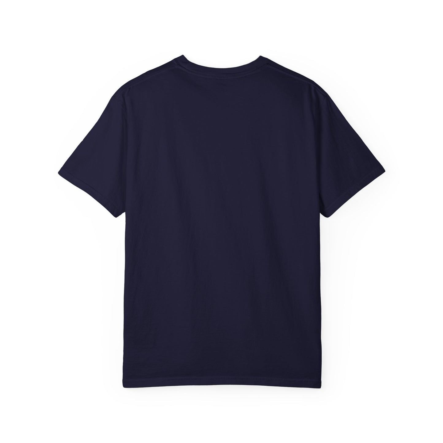 datapal t-shirt big logo