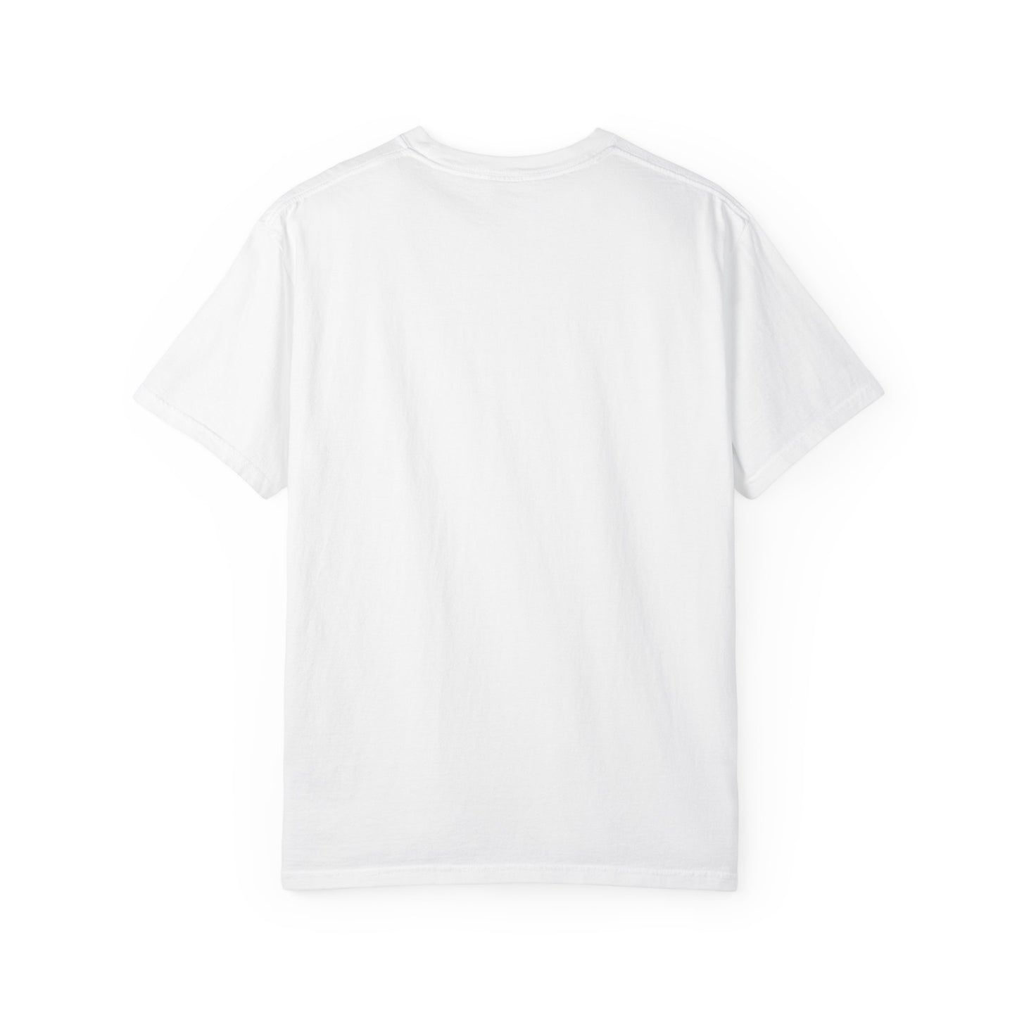 datapal t-shirt blue logo