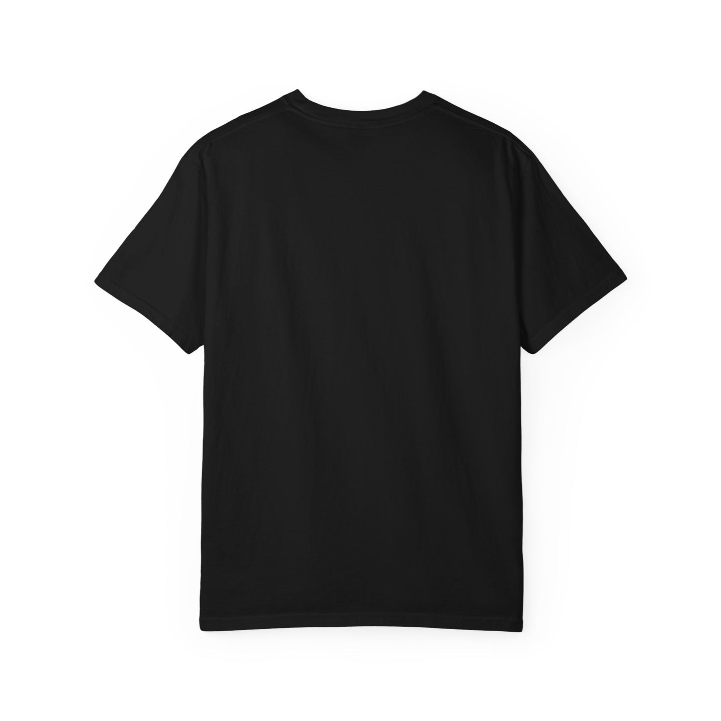 datapal t-shirt big logo